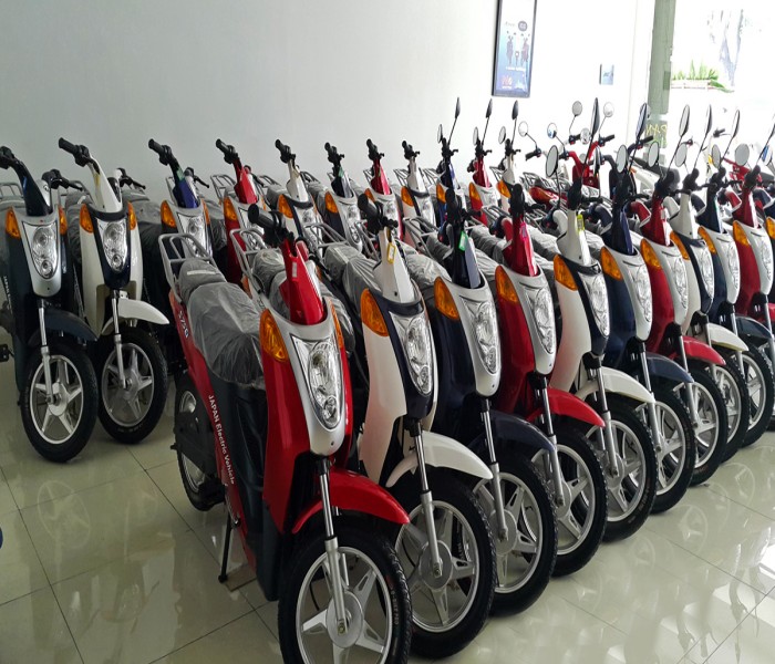 TERRA MOTORS E-BIKE S750 HOMY VARIANT